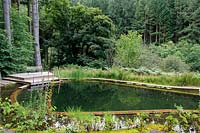 Natural swimming pond with views of the surrounding forest. 

