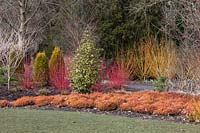 View of colourful winter-interest border
