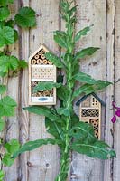 Two insect houses on wooden wall. 