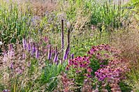 View of mixed flowering perennial border. 