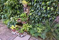 A focal point with display of potted hostas. 