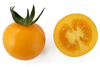 Solanum lycopersicum 'Goldkrone' Cherry tomato Syn.  Lycopersicon esculentum
