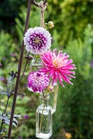 Hanging bottles with dahlias