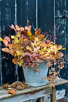 Foraged foliage and berries displayed in old metal bucket. 