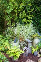Galvanised jugs and buckets decorate corner with shade-tolerant plants.