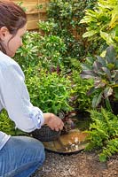 Woman carefully lowering aquatic plants into small plastic container pond. 