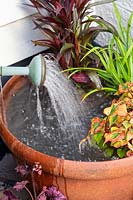 Close up detail of person topping up large plastic container pond with watering can.