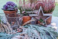 Frosty plants and accessories on garden table. 

