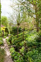 View along a narrow path in an informal cottage garden showing planting and hand rail 