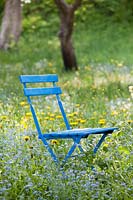 Blue chair in wild meadow with forget me nots.