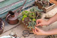Tying string onto handles of succulent colander planter