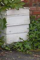 Painted wooden beehive with Hedera - Ivy