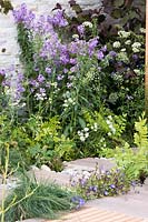 Flowerbed with Hesperis matronalis, Corylus avellana 'Rode Zellernoot', Astrantia major 'Shaggy', Festuca ovina, Fern Asplenium Trichomanes and Ceratostigma willmottianum 'Forest Blue'