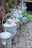 Row of old watering cans. 