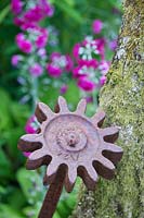 Old cog and shaft by tree with Primula pulverulenta