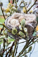 Birds nest and eggs sitting in pussy willow arrangement. 