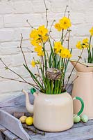 Narcissus 'Quail' planted in an enamel teapot