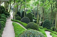 Paths bordered by Phillyrea angustifolia. Topiary mounds and cones of Ilex aquifoilum. Les Jardins D'etretat, Normandy, France.