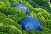'Des Gouttes de pluie' by Samuel Salcedo with hedges of Buxus sempervirens. Les Jardins D'etretat, Normandy, France.