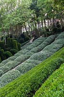 Terrace in Jardin Parnese with clipped Phillyrea angustifolia.  Les Jardins D'etretat, Normandy, France. 