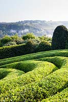 Spiral sculpted Phillyrea angustifolia in Le Jardin Elements. Les Jardins D'etretat, Normandy, France.