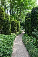Gravel path with clipped Taxus baccata and Muehlenbeckia complexa edging. Les Jardins D'Etretat. Les Jardins D'etretat, Normandy, France. 