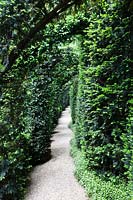 Corridor of clipped Taxus baccata. Les Jardins D'etretat, Normandy, France.
