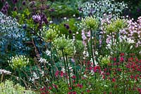 Summer flower border at Saffrons garden in Sussex