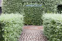 Pyrus salicifolia pendula  - Award of Garden Merit clipped into a rotunda shape with hedges of the same