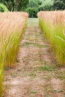 Grass path between blocks of Calamagrostis x acutiflora 'Karl Foerster' at Bury Court Gardens, Hampshire, UK.