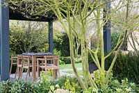 Multi-stemmed Amelanchier overlooks garden table and chairs on sheltered patio - 'The Landform Spring Garden', Ascot Spring Garden Show, 2018.  