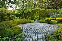 Paved area surround by topiary Buxus - box balls and with a path under archway cut into
Carpinus betulus 'fastigiata' - hornbeam hedge