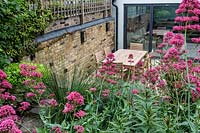 View over Centranthus ruber to lower patio area, table and chairs. 