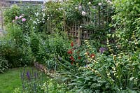 View of mixed border in small London back garden.