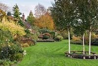 Large lawn with several mixed borders and curved seat around Betula - white stemmed birch trees
