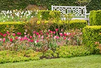 Tulipa Hemishere Collection at Pashley Manor Gardens, East Sussex, UK. 