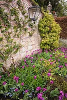 Flowering spring border at Pashley Manor Gardens, East Sussex, UK. 