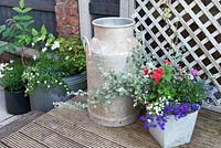 Bedding plants in rustic style containers displayed on a deck. 