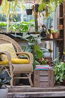 View into conservatory, with wicker chair and hanging houseplants. 
