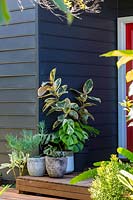 Trio of planted up containers on verandah step. 