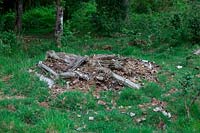 Pile of decomposed timber - diverse habitat on nature reserve
