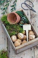 Materials and tools required to make walnut and moss place name settings. 