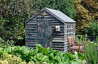 Allotment Shed and bench, Alexandra Palace Allotments, London Borough of Haringey.