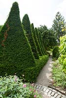 Clipped Taxus baccata - Yew - sails at York Gate Garden, Leeds, Yorkshire, UK. 