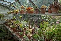 Succulents and Cacti in the greenhouse at York Gate Garden, Leeds, Yorkshire, UK.