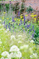 Late flowering herbaceous perennials mingle with annuals in the walled garden. 