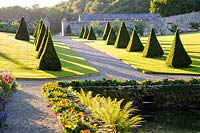 Clipped yew pyramids and pond with ferns and bergenia. Plas Cadnant Hidden Gardens, Menai Bridge, Anglesey, UK
