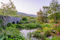 Bridge over Caher River with pond and moisture loving plants. Caher Bridge Garden, Fanore, Ireland