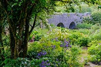 Bridge over the Caher River with hawthorn tree. Caher Bridge Garden, Fanore, Ireland