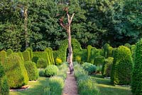 Topiary garden of Taxus baccata - yew with osprey sculpture.